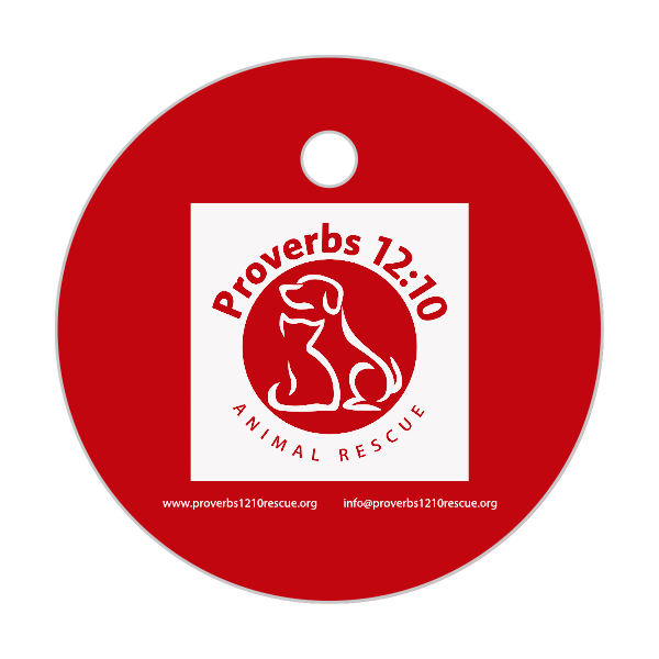 Dog Tag Medallions Custom Engraved