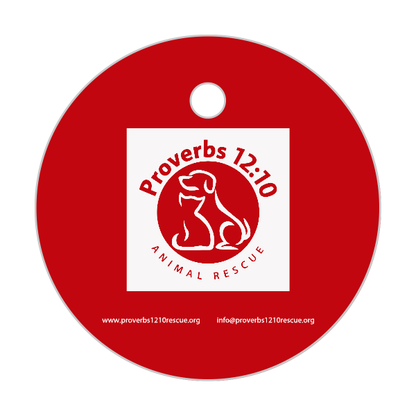 Dog Tag Medallions Custom Engraved
