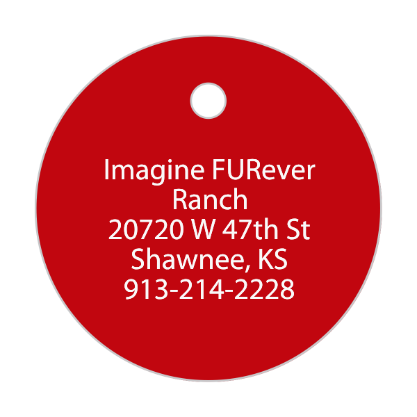 Dog Tag Medallions Custom Engraved