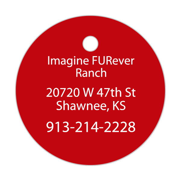 Dog Tag Medallions Custom Engraved