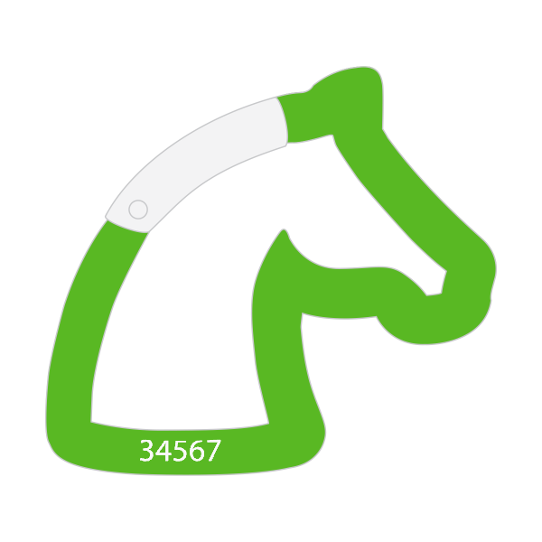 Horse Carabiner
