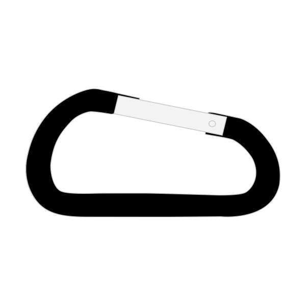 Carabiner Keychains 60mm 2.5 Inch