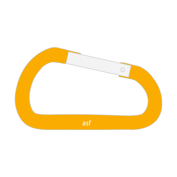 Carabiner Keychains 50mm 2 Inch
