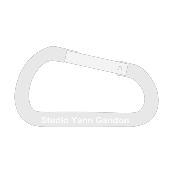 Carabiner Keychains 50mm 2 Inch