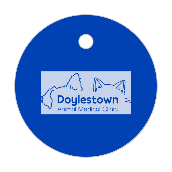 Dog Tag Medallions Custom Engraved