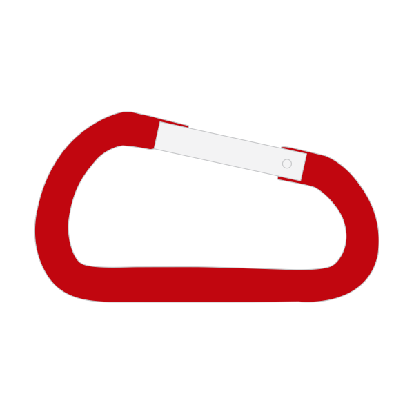 80mm Carabiner Keychains with Medallions