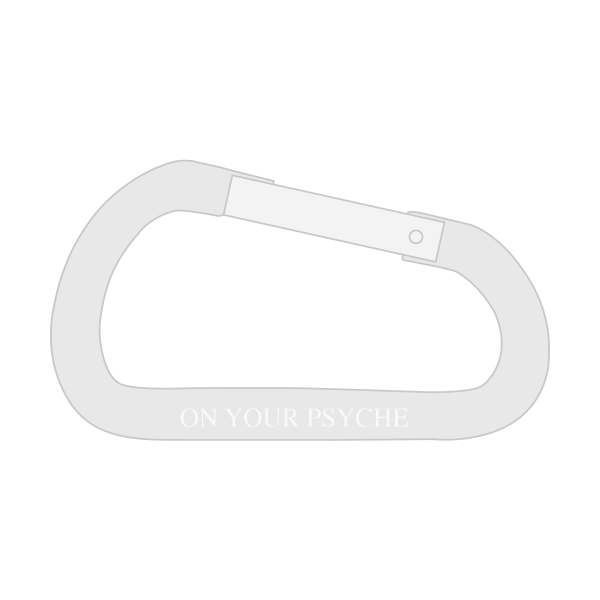 Carabiner Keychains 50mm 2 Inch