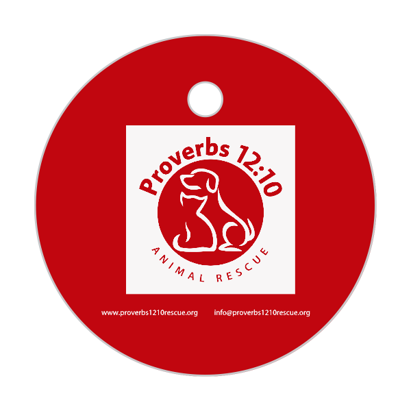 Dog Tag Medallions Custom Engraved
