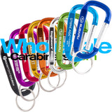 Grouping of nine 2.25" (60mm) custom carabiners with text and logos, in colors of light blue, dark blue, green, black, gold, orange, red,  purple and silver, arranged against a white background.