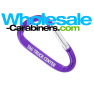 Customized Purple Carabiner Keychains (2-inches)